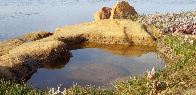 Swart Tobie hiking trail at Groenvlei Plaas Farm, Koekenaap